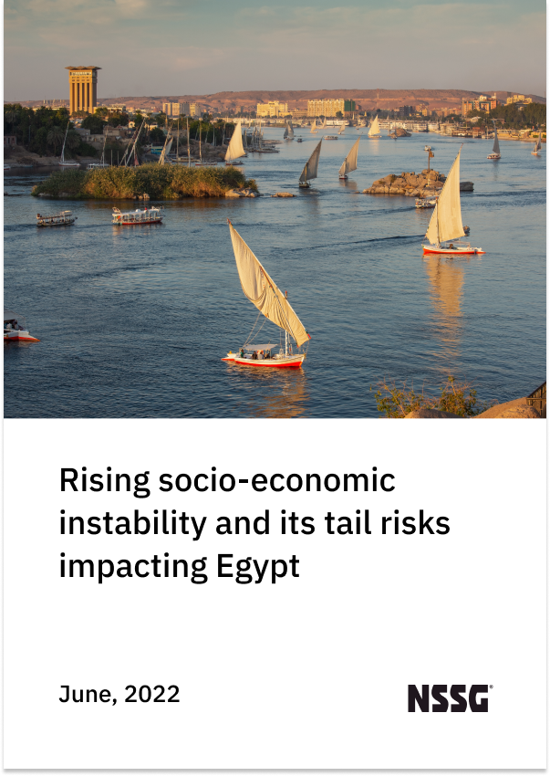 Egypt- June, 22, report cover