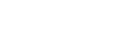 NSSG - logo avante - white